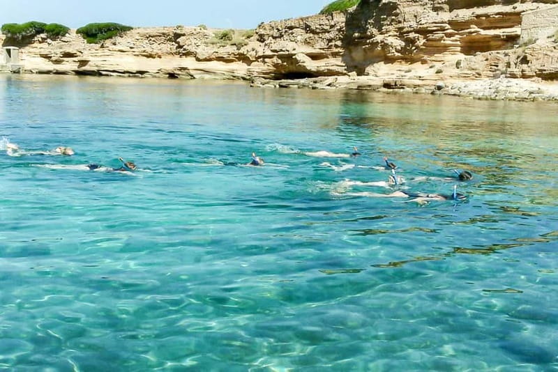Alcudia: Formentor Beach, Lighthouse Cruise, and Small Group - Cala Murta and Formentor Beach, Where the Coast Starts Looking Wild