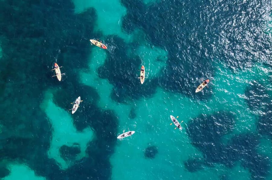 Alcudia: Guided Sea Kayaking Tour with Snorkeling - Swimming, scenic views, and optional thrills
