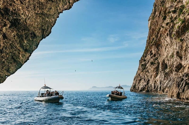 Alcudia or Can Picafort: Dolphin-Watching Cruise - Key things I’d circle on this dolphin cruise