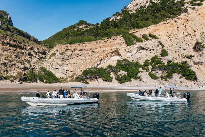 Alcudia or Can Picafort: Dolphin-Watching Cruise - Guides and skippers: the names you might hear, and what they signal