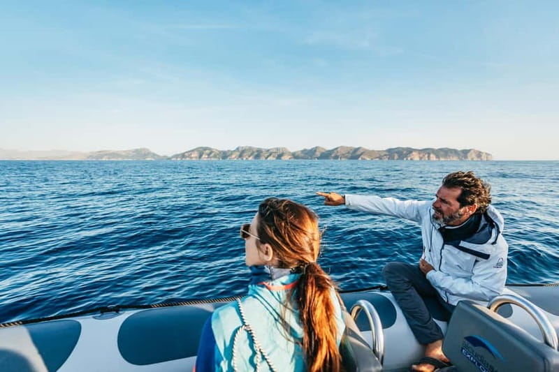 Alcudia or Can Picafort: Dolphin-Watching Cruise - Alcudia pickup versus Can Picafort pickup, and why it matters