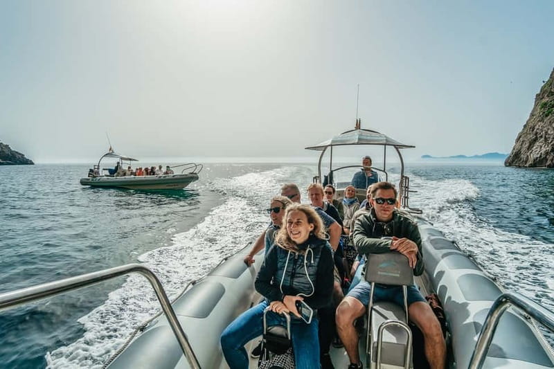 Alcudia or Can Picafort: Dolphin-Watching Cruise - Dolphin watching: what to expect when you are searching at sea