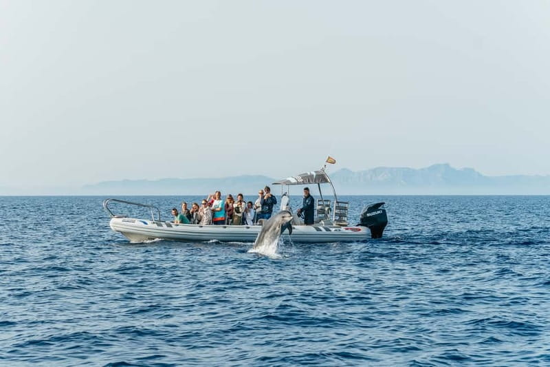 Alcudia or Can Picafort: Dolphin-Watching Cruise - The Es Coll Baix swim stop: secluded, but come prepared