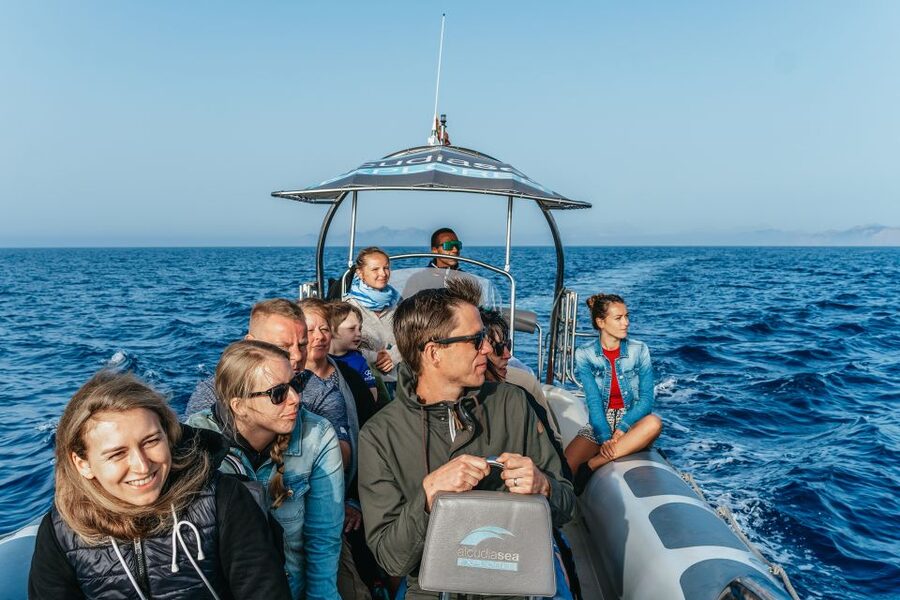 Alcudia or Can Picafort: Dolphin-Watching Cruise - Boat comfort and sea-sickness reality check