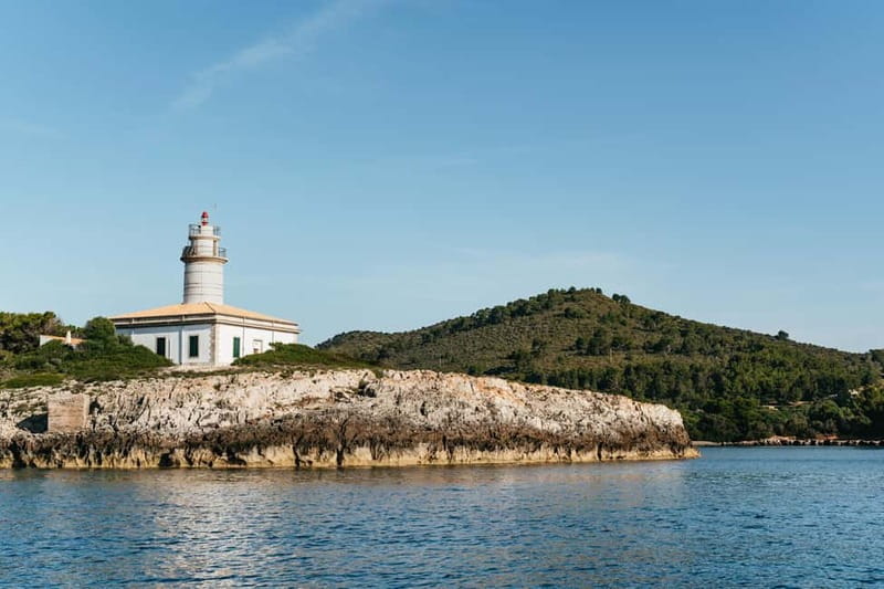 Alcudia or Can Picafort: Dolphin-Watching Cruise - Where you meet and how early to show up