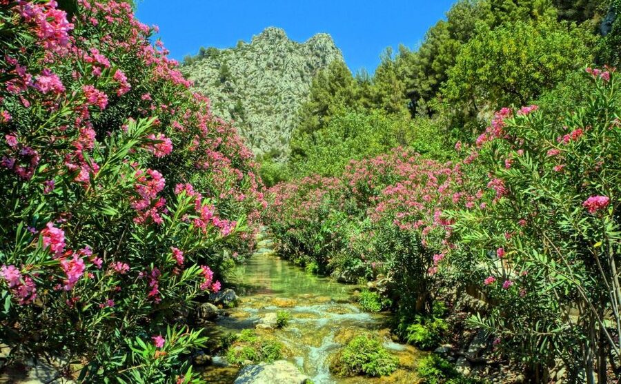 Algar Waterfalls Coach Trip - From Albir & Benidorm - What to Pack: Water Shoes, Towel, Sun Protection, and Lockers