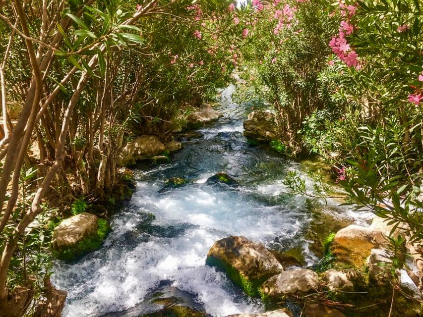 Algar Waterfalls Coach Trip - From Albir & Benidorm - Price and Value: Is $31 Worth It?