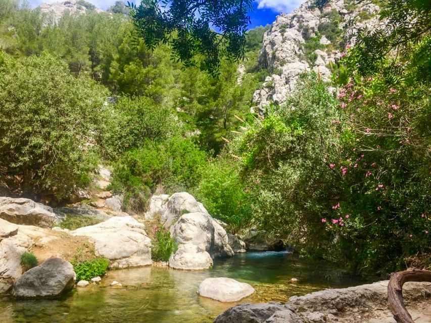 Algar Waterfalls Coach Trip - From Albir & Benidorm - Who This Tour Suits Best, and Who Should Skip It