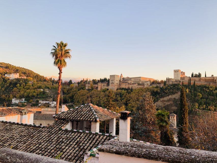 Alhambra and Nasrid Palaces Guided Tour with Tickets - Price and value, what $230 gets you (and what you avoid)