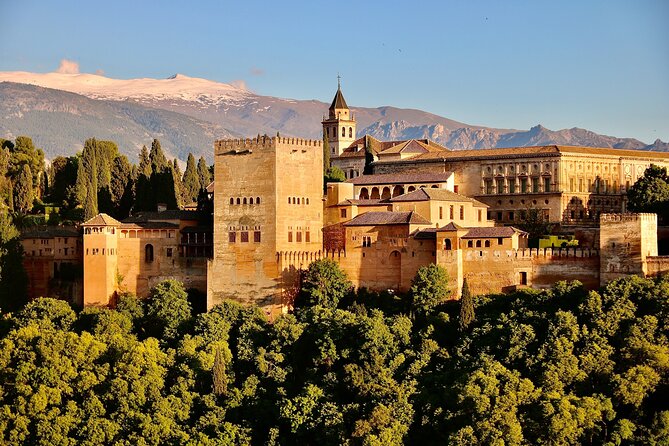 Alhambra and Nasrid Palaces: Skip-the-line Ticket and Local Guide - Skip-the-line tickets that include Nasrid Palaces