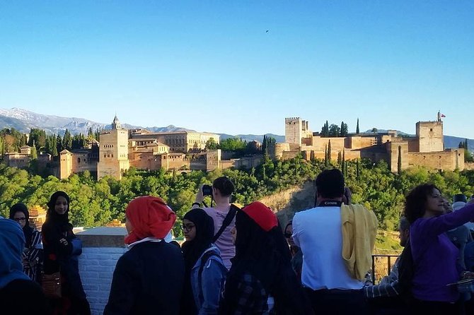 Alhambra &Charles Palace Guided Tour with Optional Nasrid Palaces - Entering the Alhambra, priority style