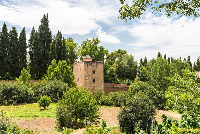 Alhambra Guided Tour with Generalife Gardens - The Alhambra Fortress: Alcazaba, Medina, and Charles V in Context