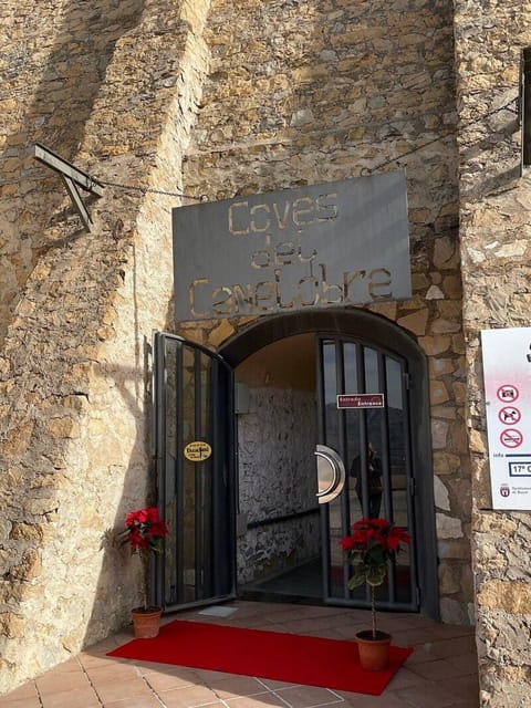 Alicante: Canelobre Caves & Busot Tour including transfer - Practical Tips for a Smoother Cave and Busot Day