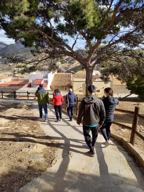 Alicante: Canelobre Caves & Busot Tour with Local Guide - The Guide Experience, From Cave Explanations to Alicante Tips