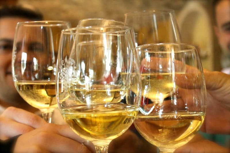 Alicante: Countryside Wine Tour with 4 Tastings - Key things to know before you go