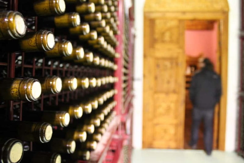 Alicante: Countryside Wine Tour with 4 Tastings - How a 4-hour countryside winery visit stays fun (not frantic)