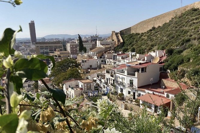 Alicante Historic Small Group Tour with Tapas Tasting - Who This Tour Suits Best (And Who Should Rethink It)