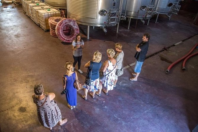 Alicante: Small-Group Countryside Wine Tour with 4 Tastings - Duration in real life: planning around a 3 to 4 hour half-day