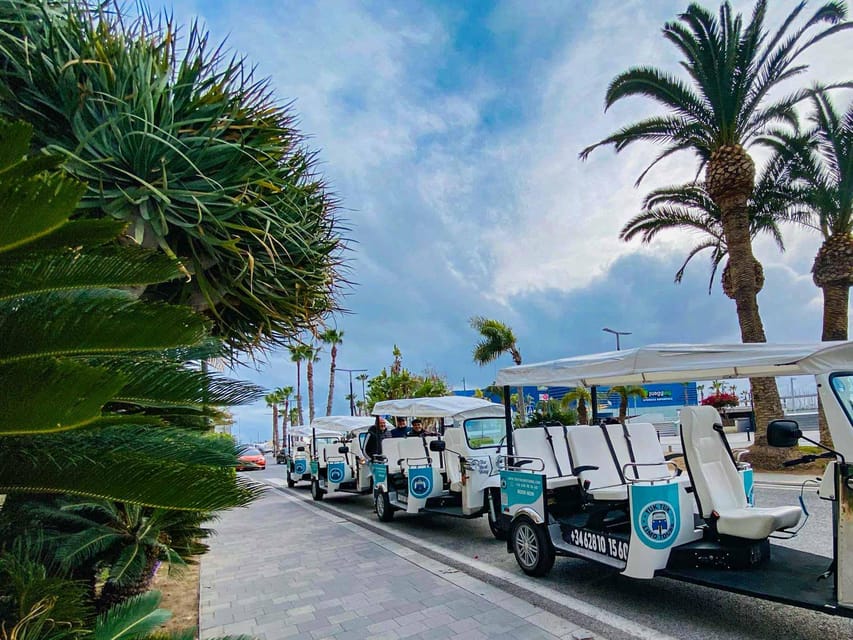 Alicante Tuk Tuk Overview Tour - Paseo Marítimo and Alicante Port: the sea breeze portion of the trip