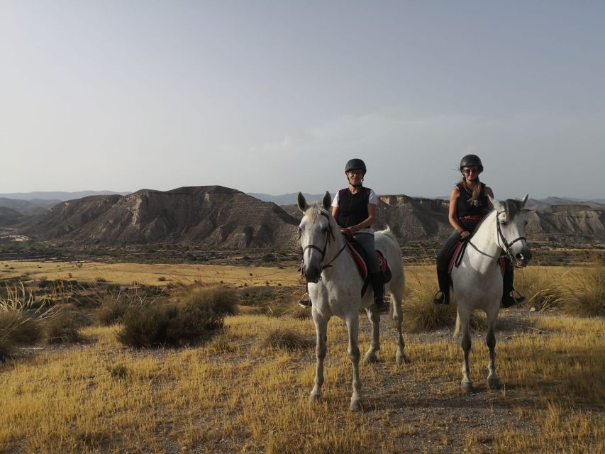 Almeria: Horse Riding Tour Through the Tabernas Desert - Horseback Into the Tabernas Desert: what you’re really signing up for