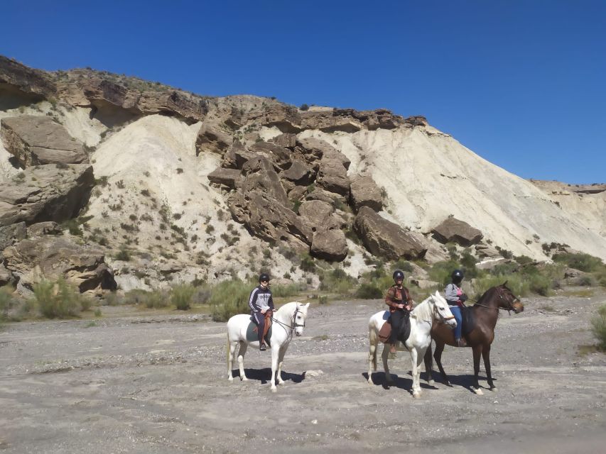 Almeria: Horse Riding Tour Through the Tabernas Desert - The short horse-handling lesson before you head into the desert