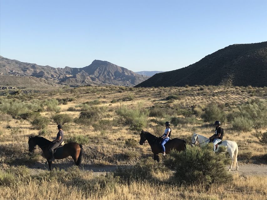 Almeria: Horse Riding Tour Through the Tabernas Desert - The 2-hour ride route through Desierto de Tabernas