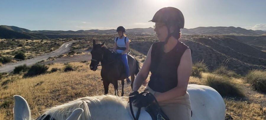 Almeria: Horse Riding Tour Through the Tabernas Desert - Who should book this Almería horseback ride, and who should skip it