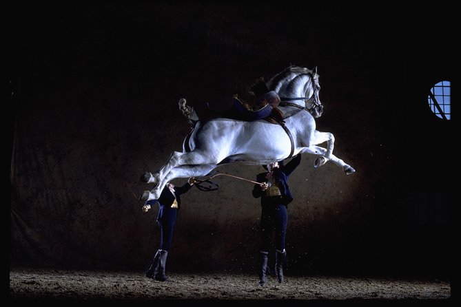 Andalusian Horses Dance Show - Key things to notice before you go