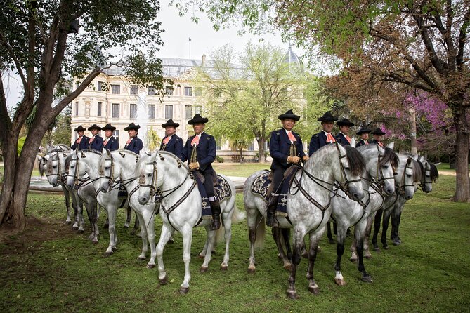 Andalusian Horses Dance Show - Carriage driving: the school proves it beyond the saddle