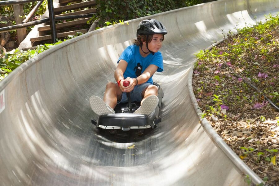 Arona: Entry Ticket to Tenerife's Jungle Park Zoo - Key highlights you should plan around