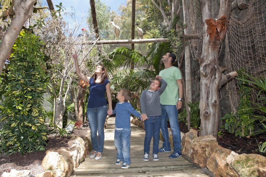 Arona: Entry Ticket to Tenerife's Jungle Park Zoo - Why Jungle Park feels different from a typical zoo