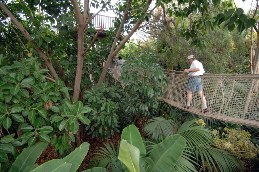 Arona: Entry Ticket to Tenerife's Jungle Park Zoo - Free-flight bird shows: birds of prey plus exotic birds