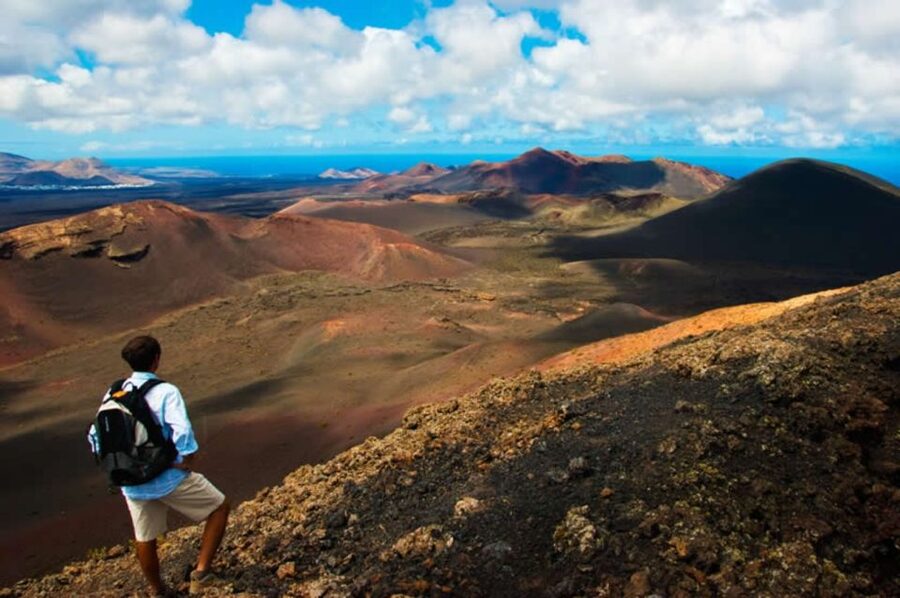 Arrecife/Playa Blanca: Timanfaya National Park Area Day Tour - Key things that make this tour work well