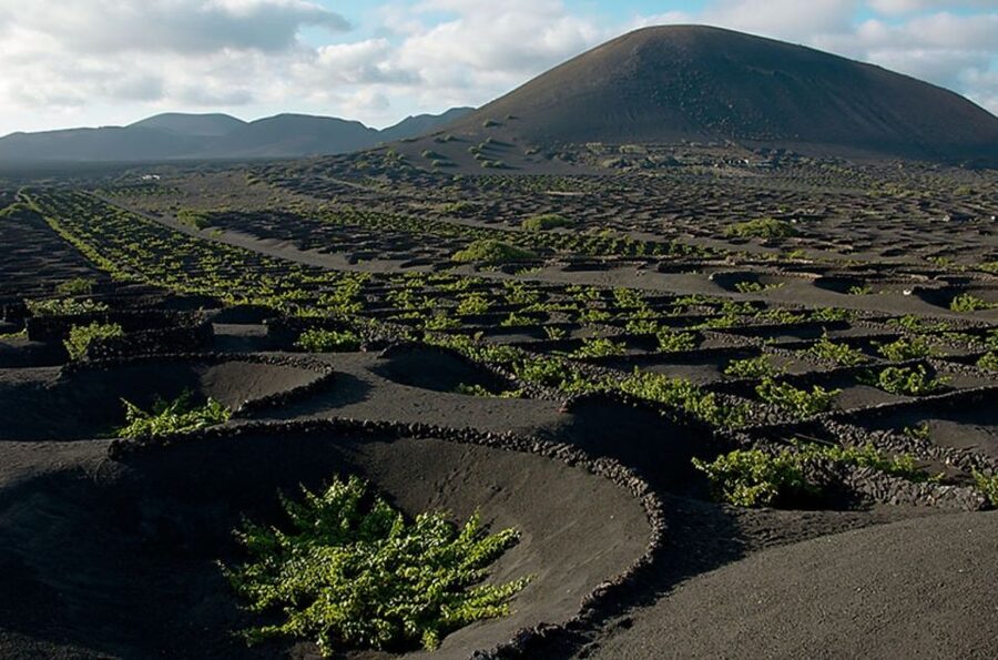 Arrecife/Playa Blanca: Timanfaya National Park Area Day Tour - South coast highlights: Los Hervideros, El Golfo, and Green Lake