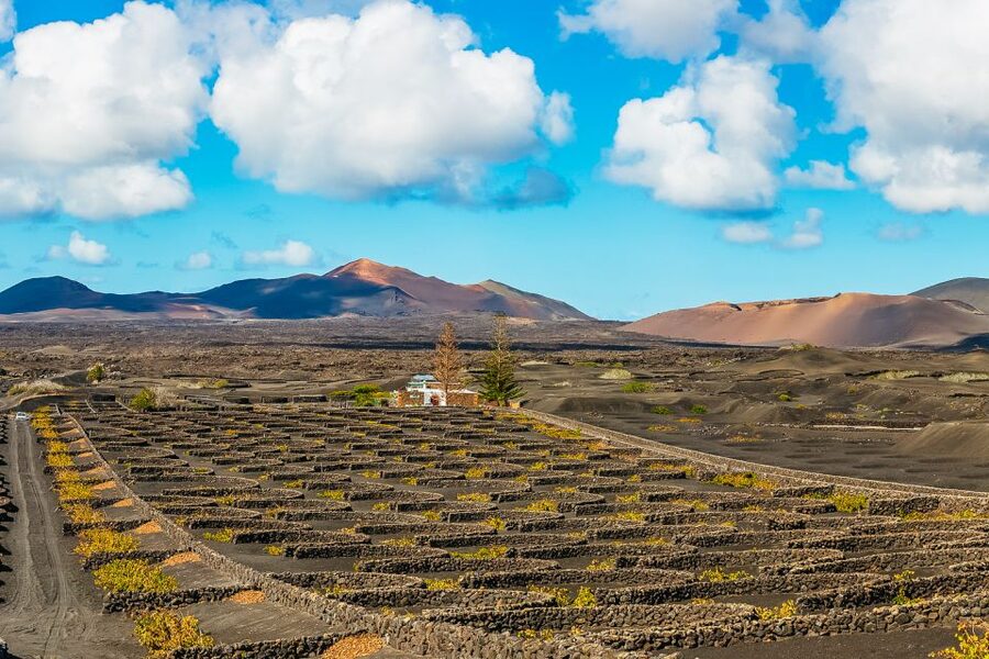 Arrecife: Timanfaya and Green Lagoon for Cruise Passengers - Why This Arrecife-to-South Lanzarote Day Feels Efficient