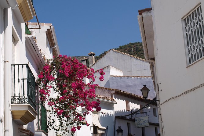 Authentic Andalusia - Jeep Eco Tour (pick up from Marbella - Estepona) - Who the guides make it for: stories, safety, and real care