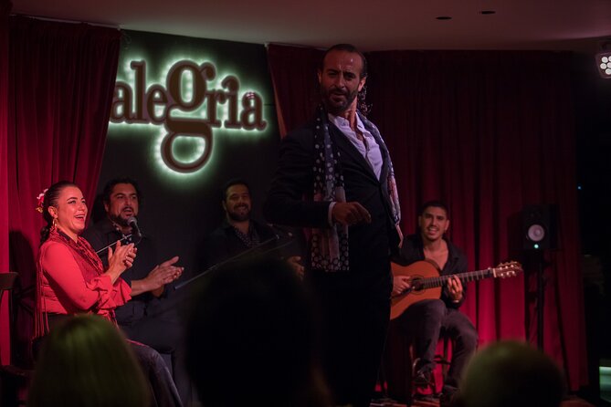 Authentic flamenco show. Alegria and gastronomy Malaga - The hour-long flamenco: guitar, singing, and footwork in one tight loop