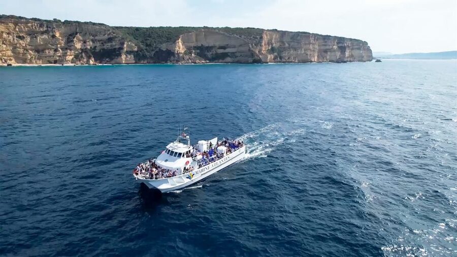 Barbate: Dolphin and Whale Watching in Cape Trafalgar - Spotting help on board: what the guides do for you