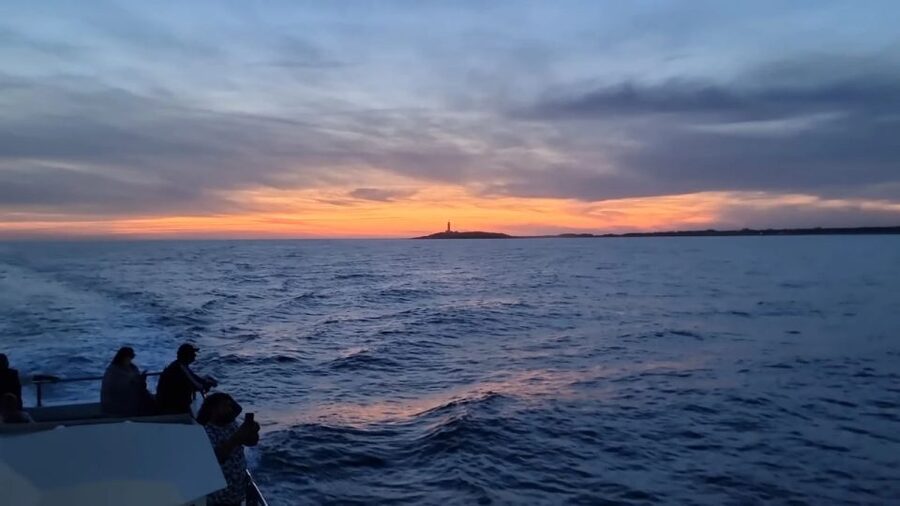 Barbate: Sunset Cruise with Glass of Cava - Key Highlights at a Glance