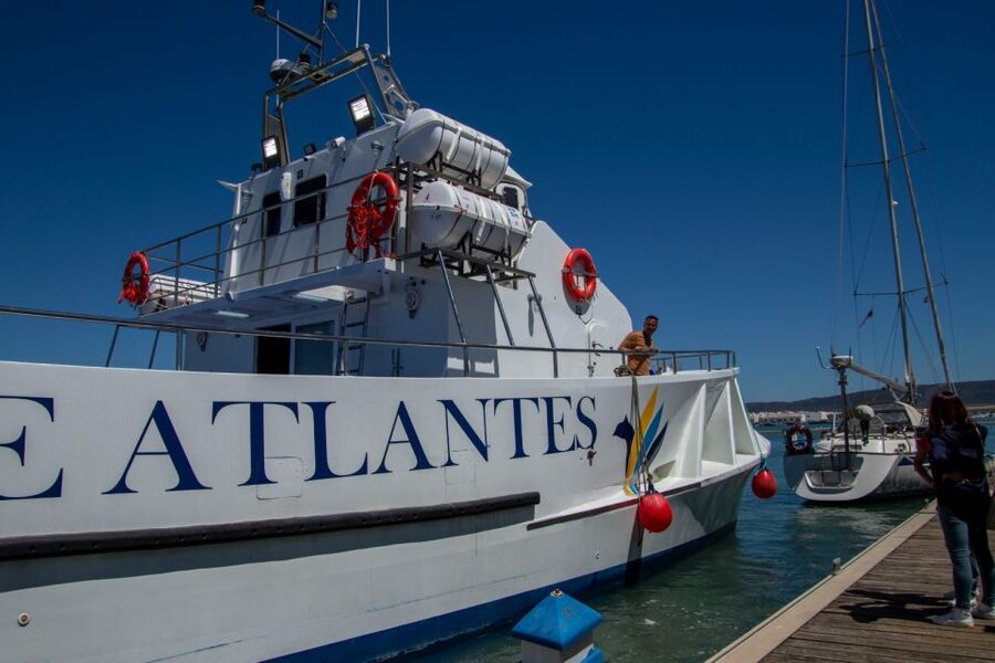 Barbate: Sunset Cruise with Glass of Cava - Cape Trafalgar Sunset Time, Dunes, Pine, and Golden Sky