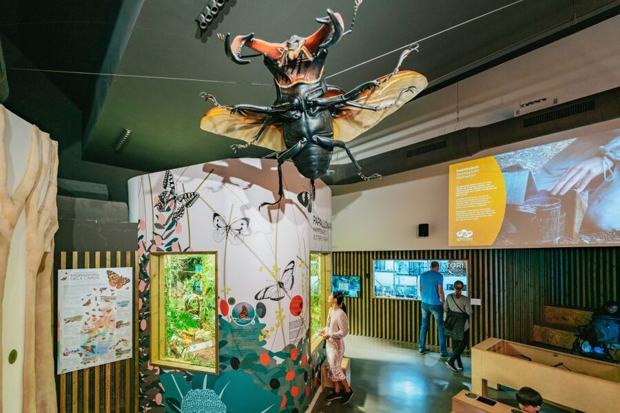 Barcelona: 1-Day Ticket to Barcelona Zoo - Key points before you go