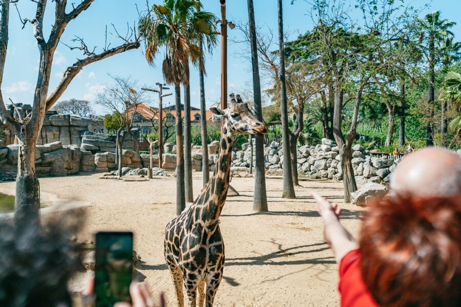 Barcelona: 1-Day Ticket to Barcelona Zoo - Price and value: is $27 a smart use of your time