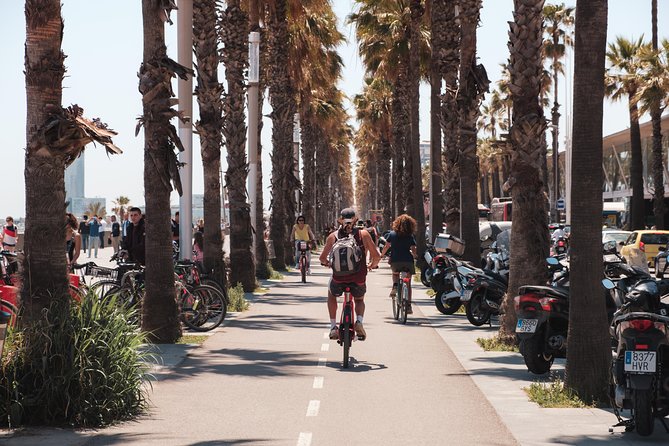 Barcelona 3-hour Bike or E-Bike Tour: Highlights and Hidden Gems - Palau de la Música Catalana and Arc de Triomf: Modernisme and the city’s progress story