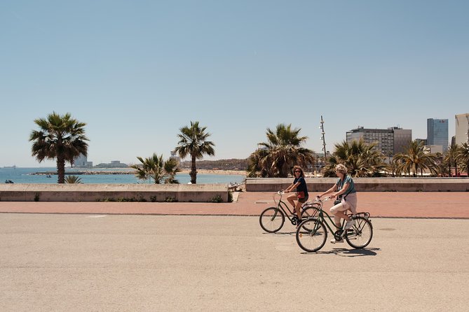 Barcelona 3-hour Bike or E-Bike Tour: Highlights and Hidden Gems - Meeting at Plaça Reial, then getting oriented fast