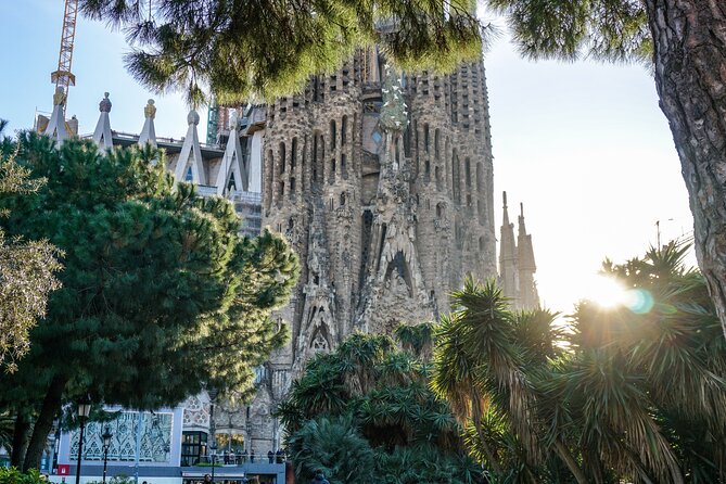Barcelona all included: Sagrada, Park Güell, Montjuic & Gothic - Park Güell before lunch: guided setup, then your own pace