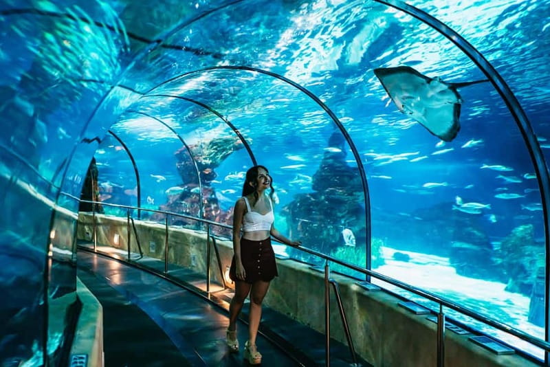 Barcelona Aquarium: Entry Ticket - Key Highlights You Should Not Miss