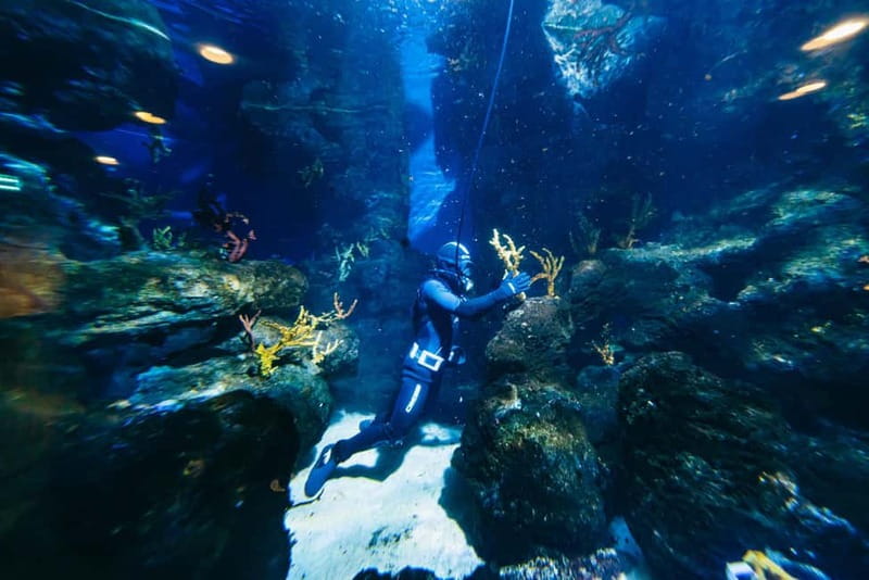 Barcelona Aquarium: Entry Ticket - Should You Book the Barcelona Aquarium Entry Ticket?