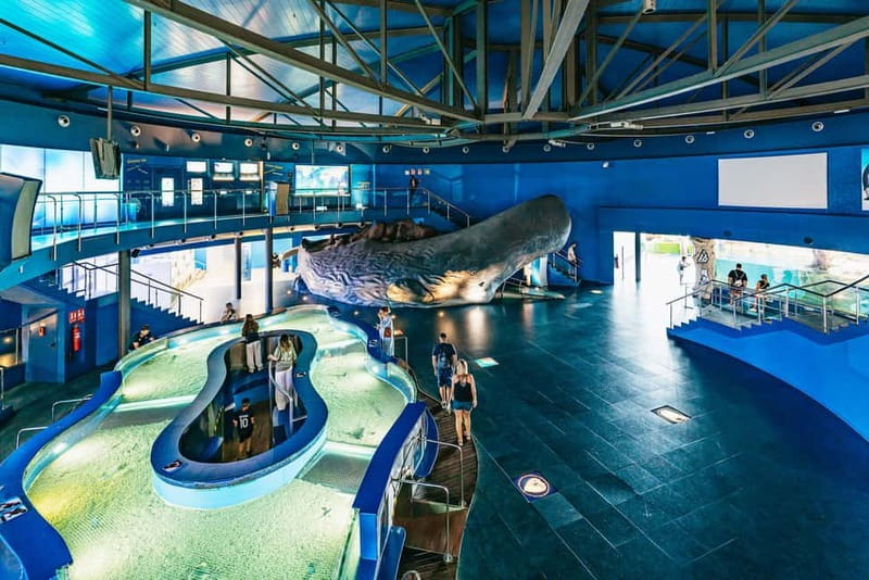 Barcelona Aquarium: Entry Ticket - Planeta Aqua: The Hands-On Water Learning Room