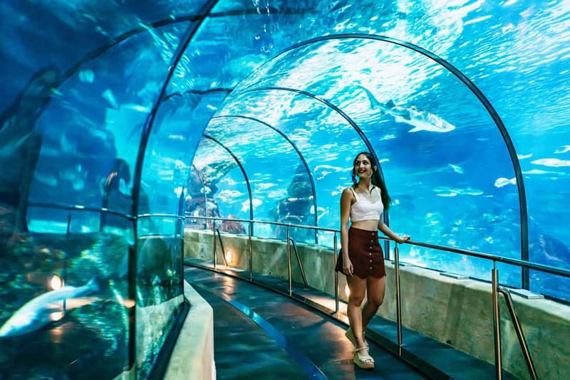 Barcelona Aquarium: Entry Ticket - Timing and Hours: Picking the Best Time Slot for Comfort