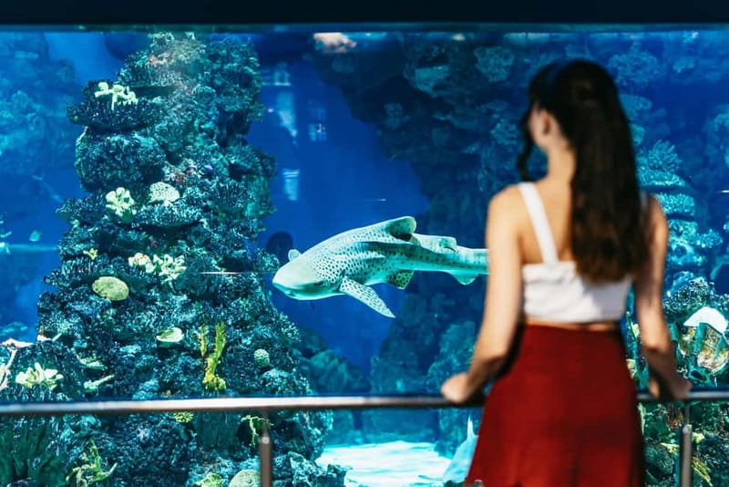 Barcelona Aquarium: Entry Ticket - Practical On-Site Reality: Strollers, Bathrooms, and Food